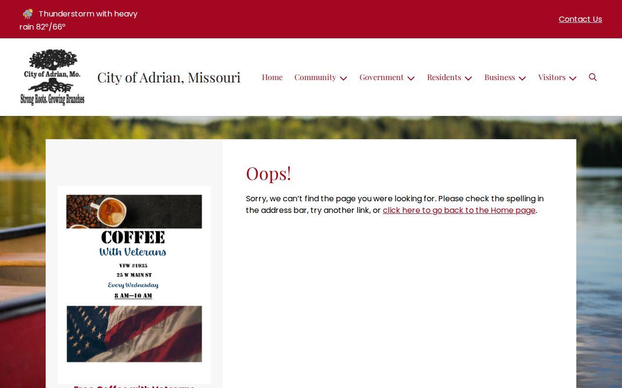 Captured City of Adrian Open Records and Sunshine Law webpage